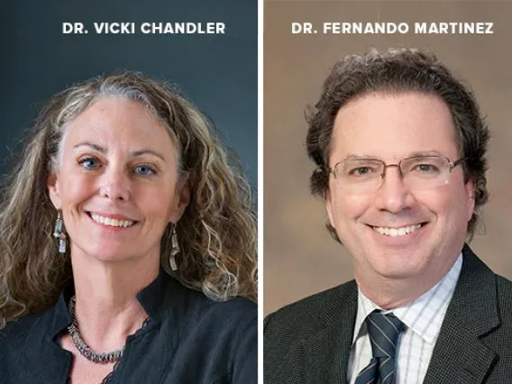 BIO5 Directors 1.0