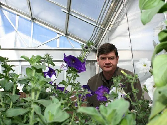 iPlant Collaborative