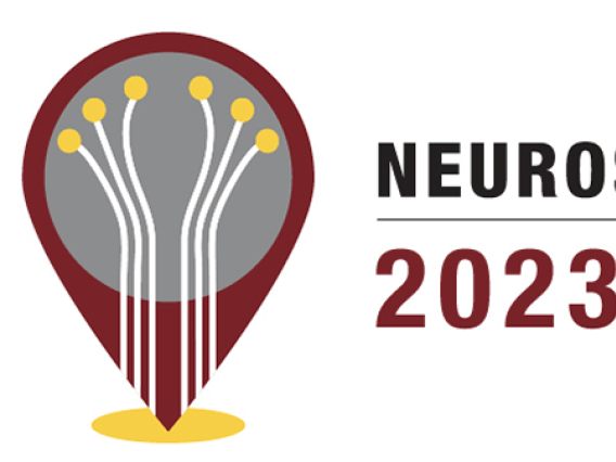 Neuroscience 2023 logo